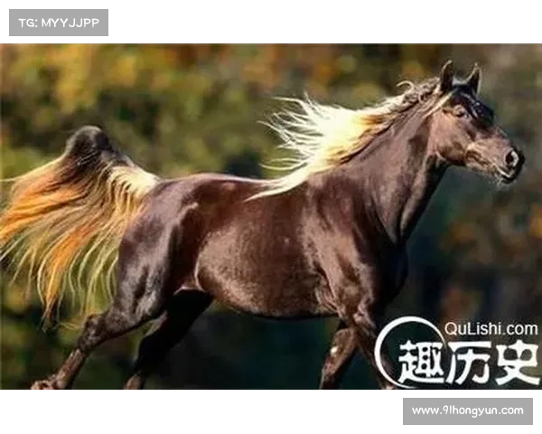 揭秘梦想西游中汗血宝马的传奇故事与背后隐藏的历史谜团 揭秘梦想西游中汗血宝马的传奇故事与背后隐藏的历史谜团