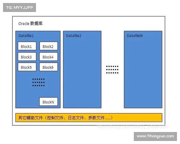 红字装备净化提升的全面攻略与实用技巧详解 红字装备净化提升的全面攻略与实用技巧详解