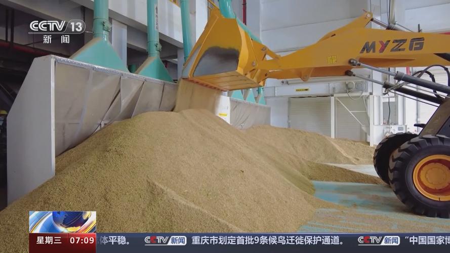 秋粮收购平稳 2023年收购粮食超4亿吨 优化五项为农服务